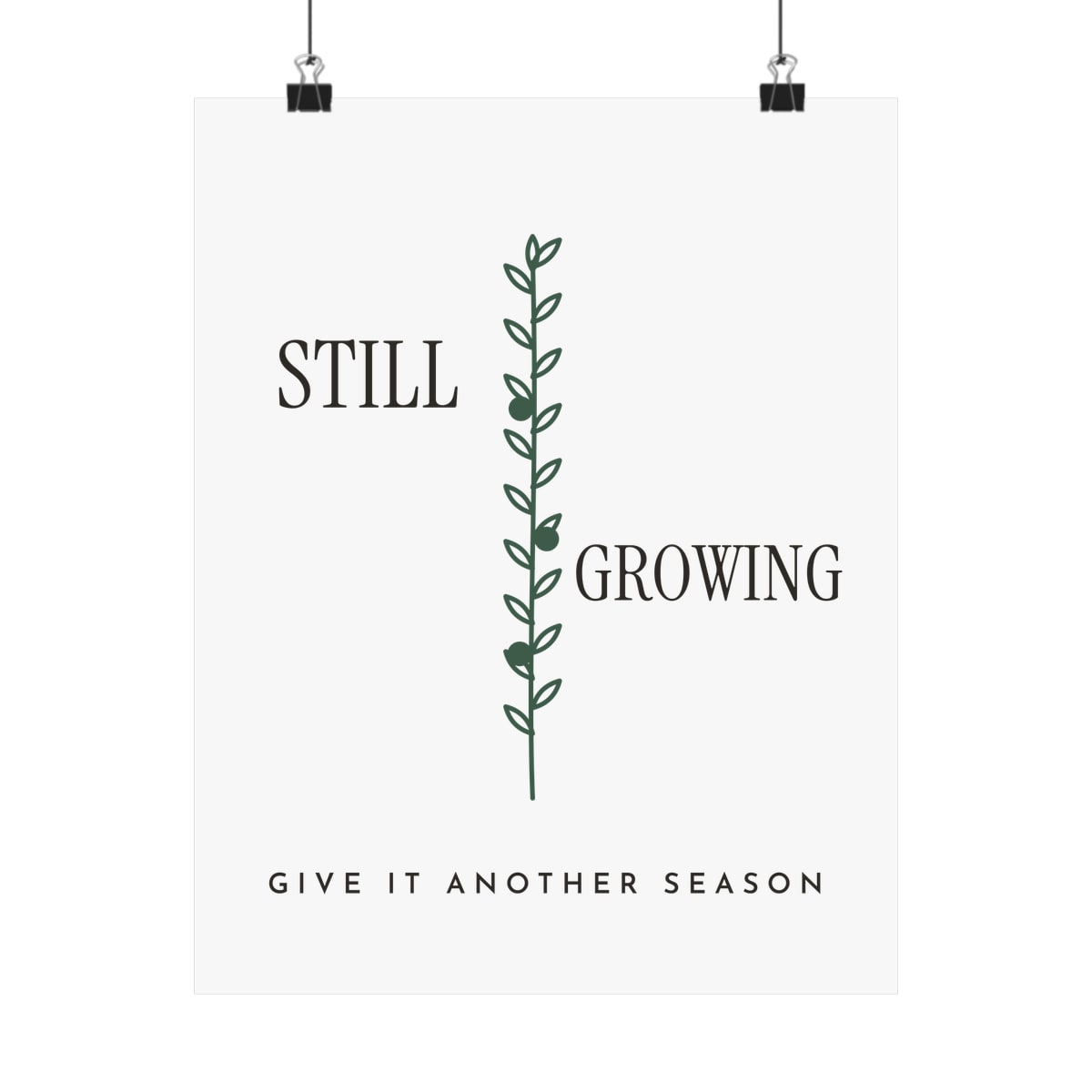 Still Growing Olive Branch, printed on a art print in White