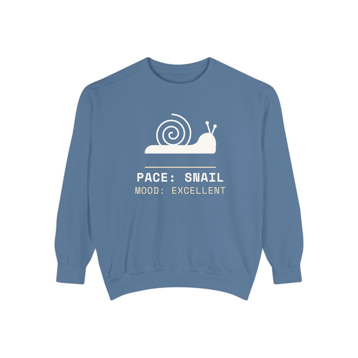 Pace: Snail, printed on a sweatshirt in Blue Jean