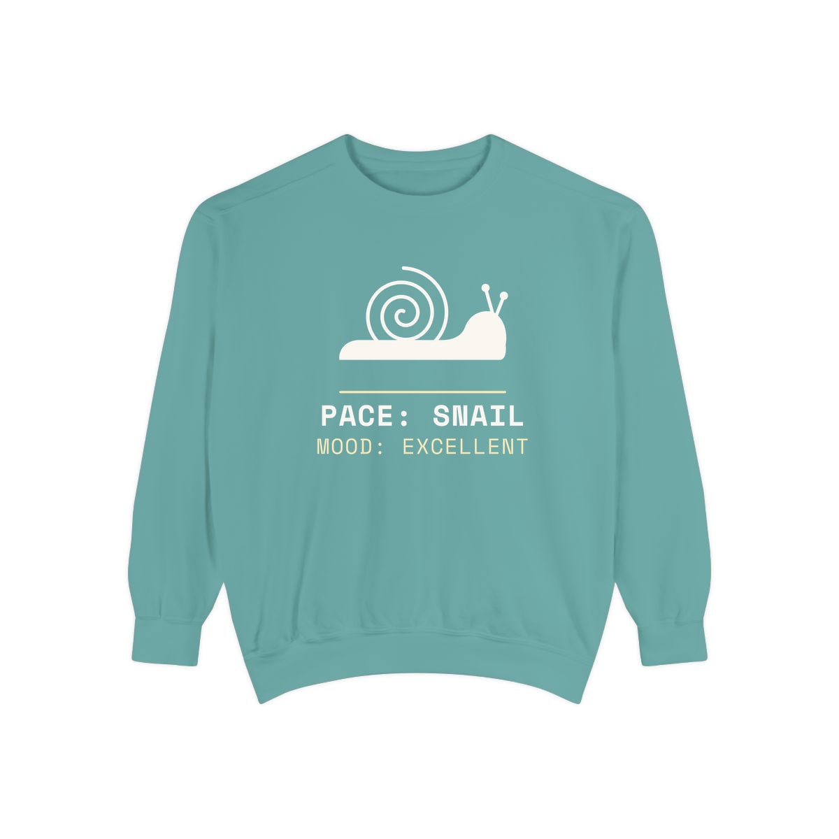 Pace: Snail, printed on a sweatshirt in Seafoam