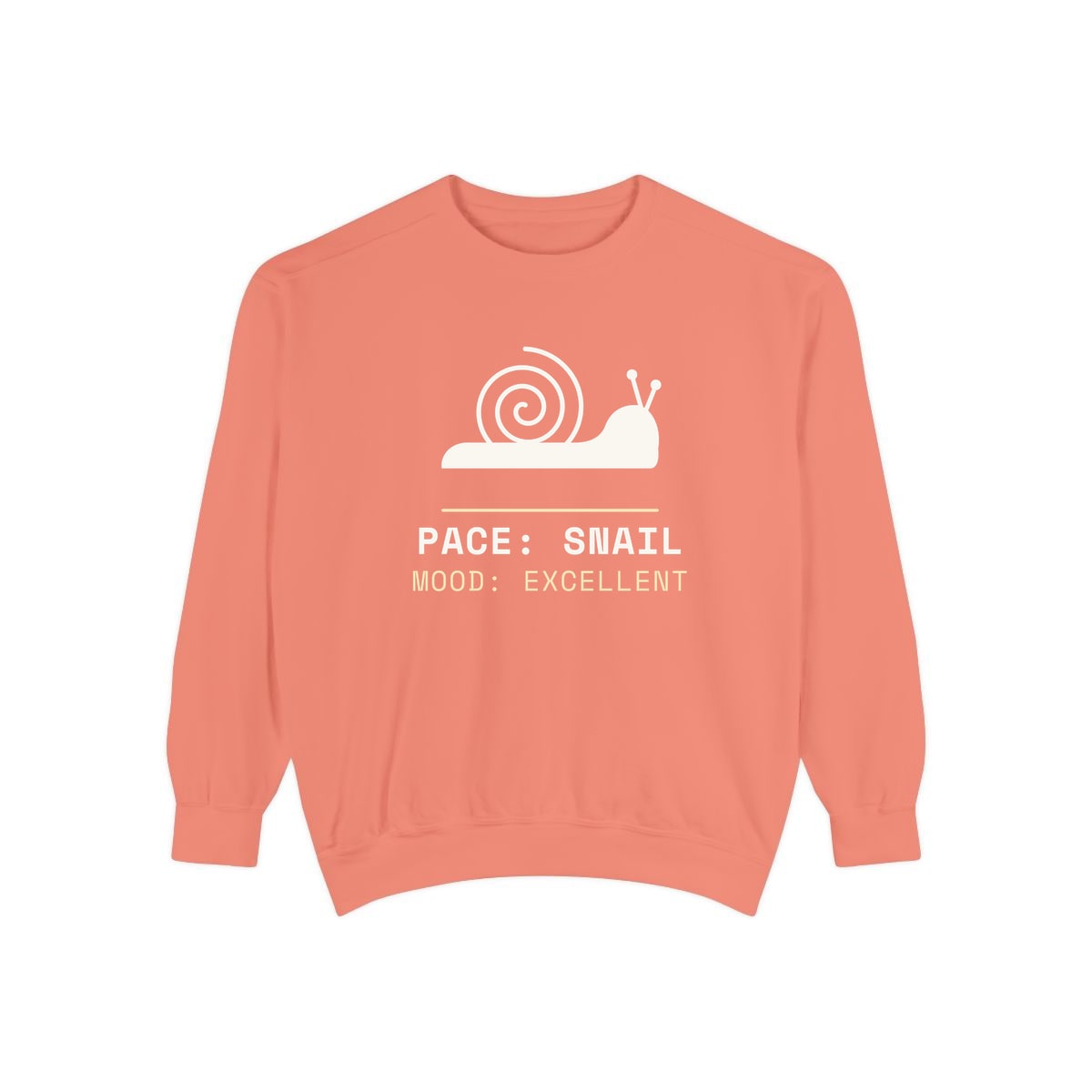 Pace: Snail, printed on a sweatshirt in Terracotta