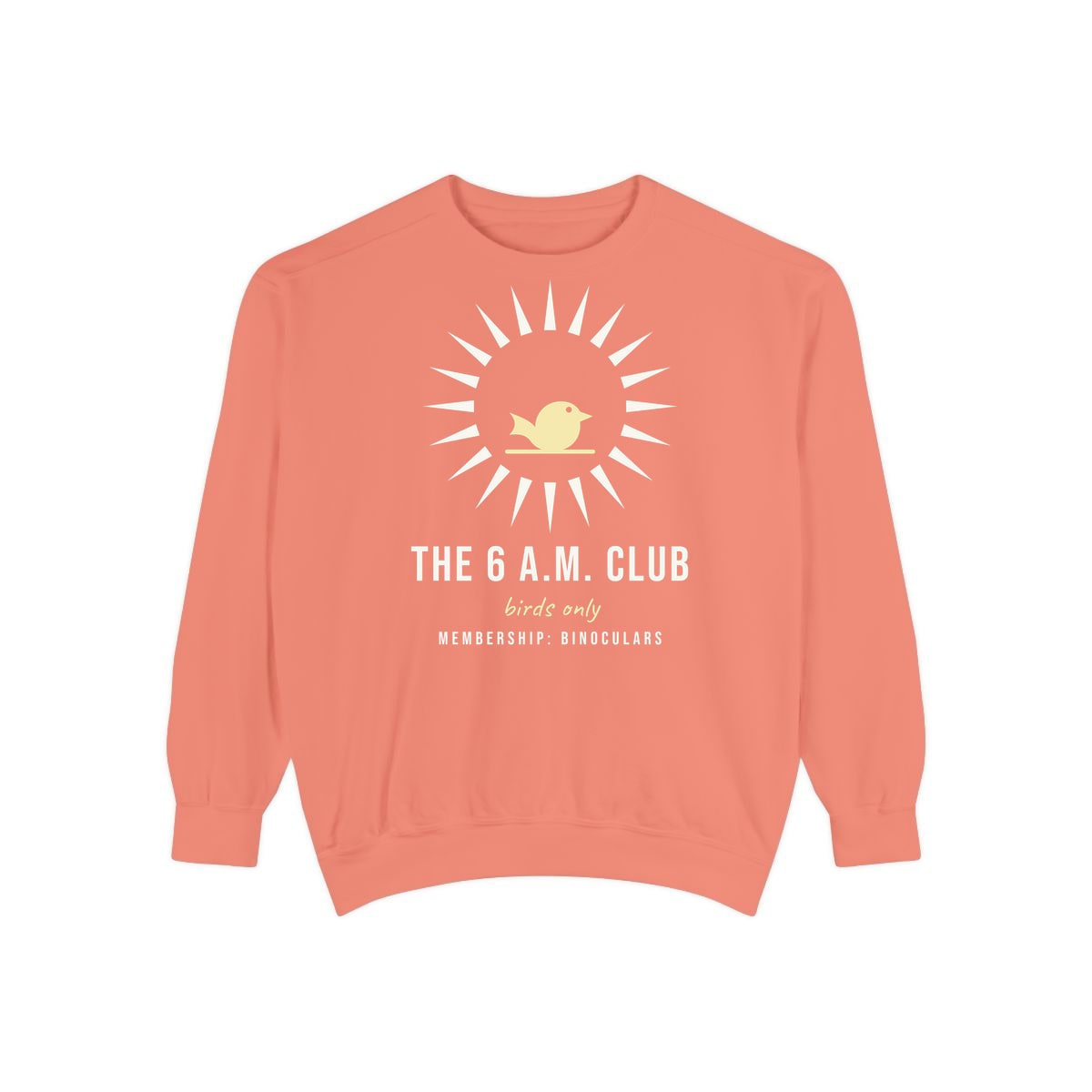 The Six A.M. Club, printed on a sweatshirt in Terracotta