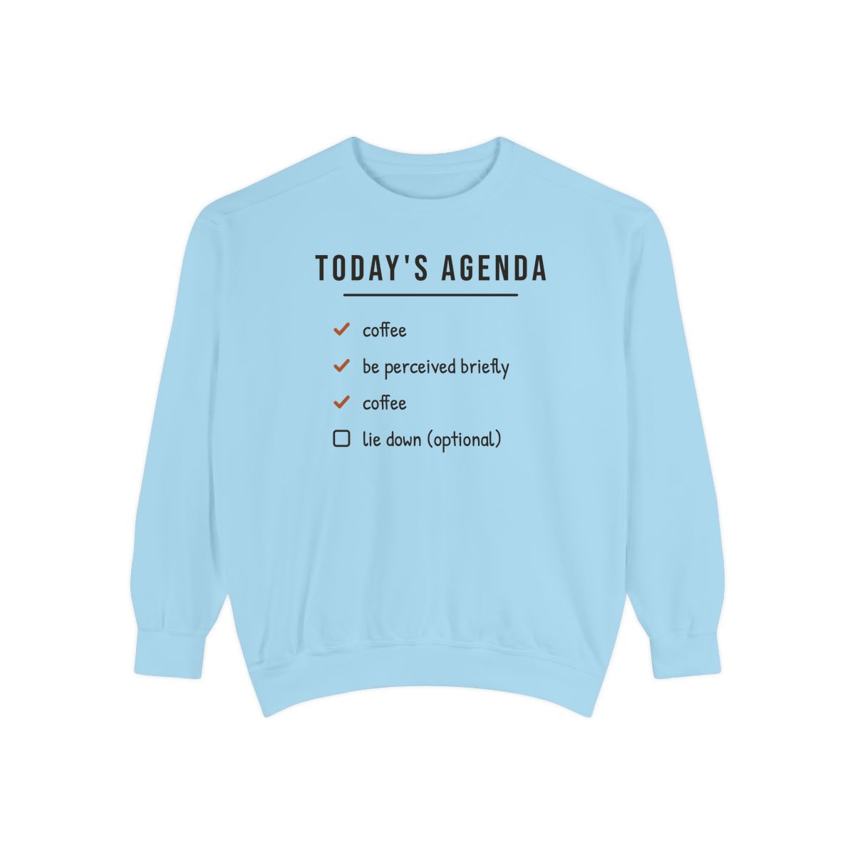Today's Agenda, printed on a sweatshirt in Chambray
