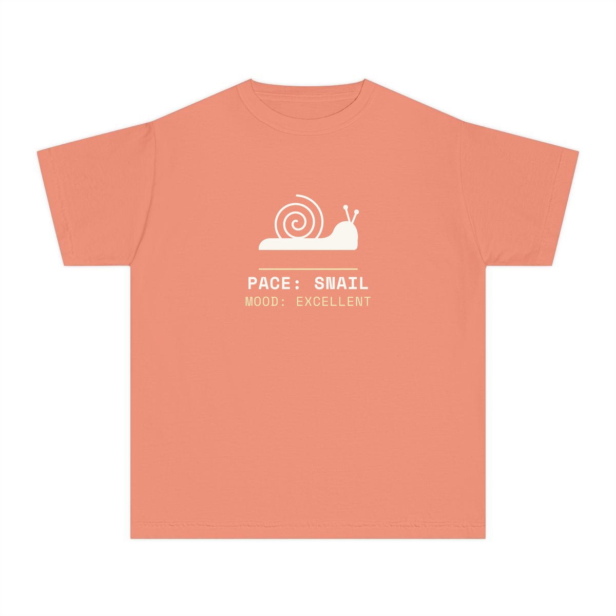 Pace: Snail, printed on a youth tee in Terracotta